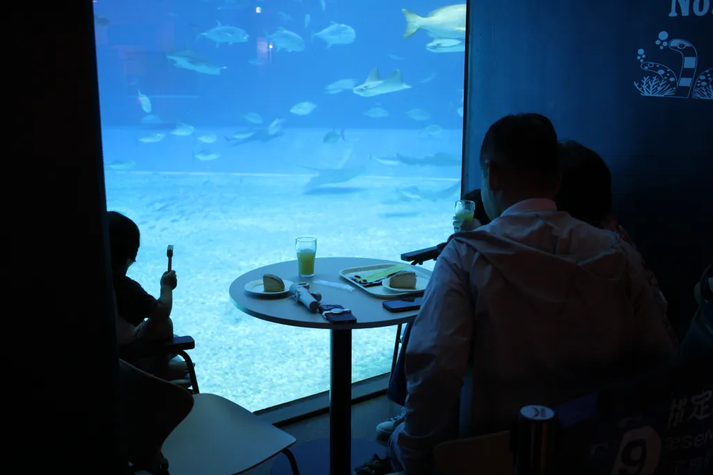 美ら海水族館のカフェ有料席で海の生き物を眺めながら食事する家族