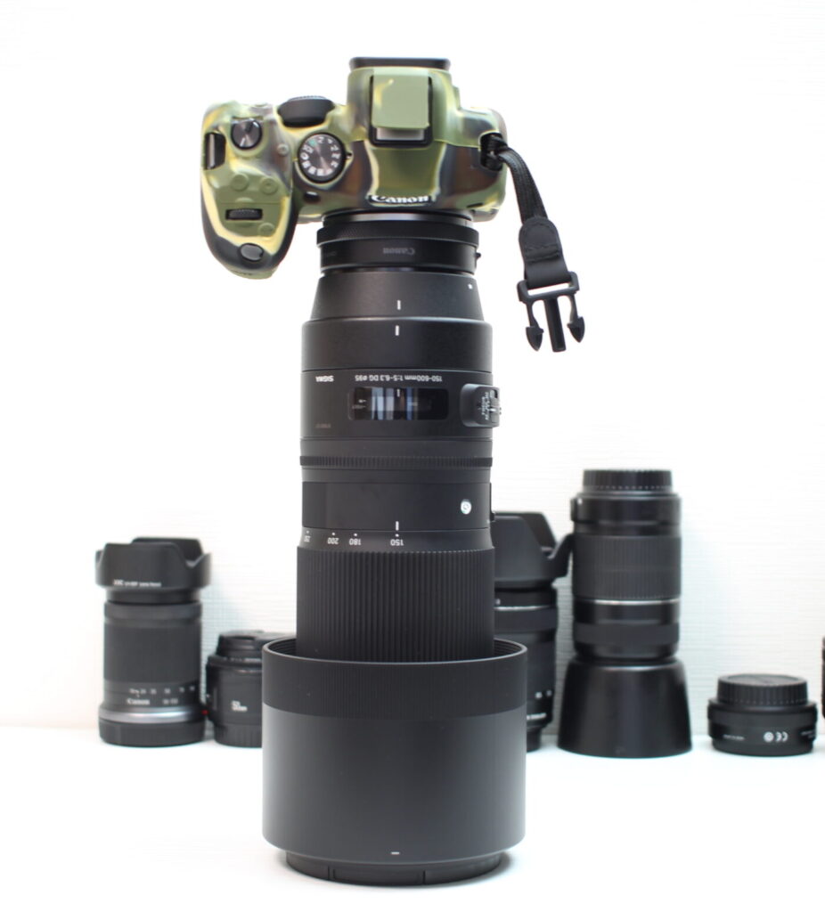 CanonミラーレスカメラにSIGMA 150-600mm望遠レンズを装着した側面写真