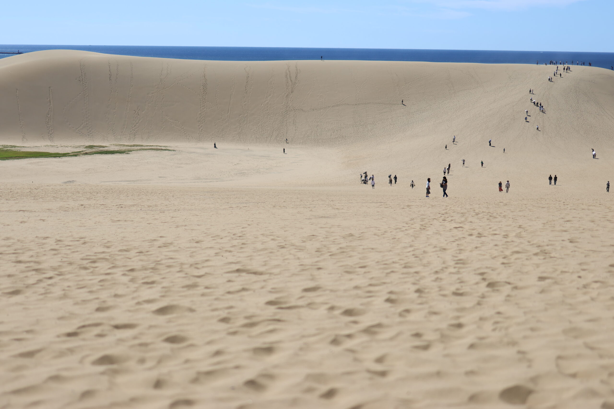 鳥取砂丘を歩く人々と広がる砂丘の風景