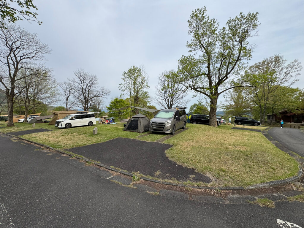 蒜山高原キャンプ場のオートサイト風景 テントと車が並ぶ芝生サイトの様子