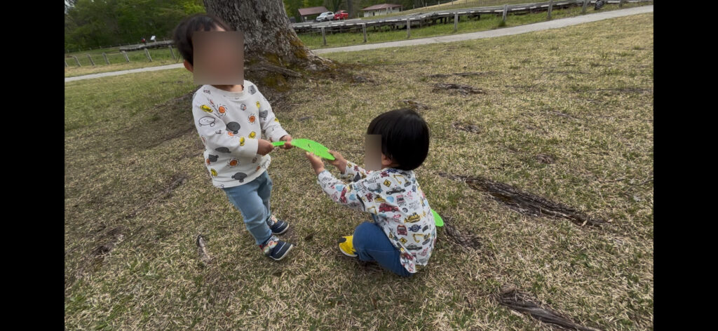 兄弟がおもちゃを取り合っている様子