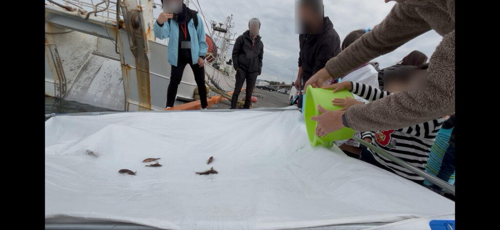 鳥取かにフェスタ会場横で行われたキジハタ稚魚の放流体験の様子。子どもたちがバケツから稚魚を海へ流している。